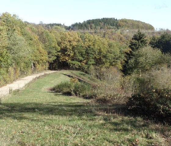 Wanderweg 88 bei Eilscheid, © TI Islek