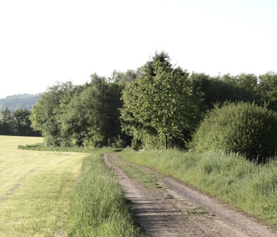 Wanderweg Nr. 15, © Tourist-Information Islek