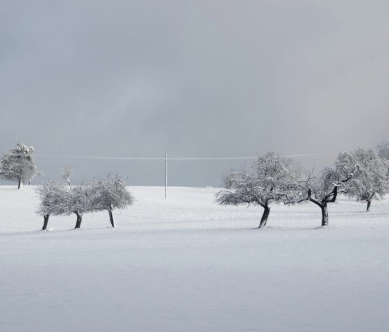 Hochmark im Winter, © I. Weber