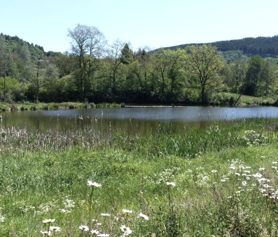 Stausee Irsental, © Tourist-Information Islek, Ingrid Wirtzfeld