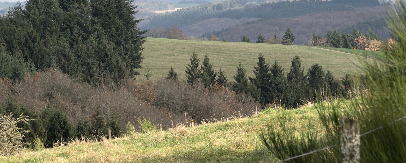 Eifelhöhen bei Arzfeld, © Volker Teuschler