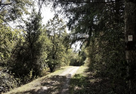 Naturpark-Wanderweg am Stausee Arzfeld, © TI Islek.