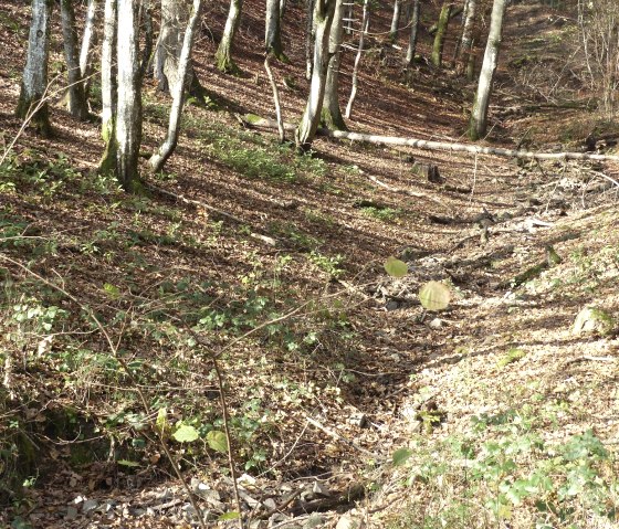 kleiner Bachlauf im Wald, © Tourist-Information Islek