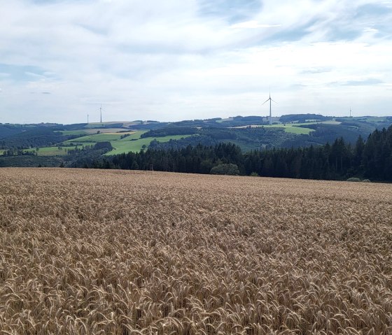 Fernblick über die Islek-Höhen, © Tourist-Information Islek