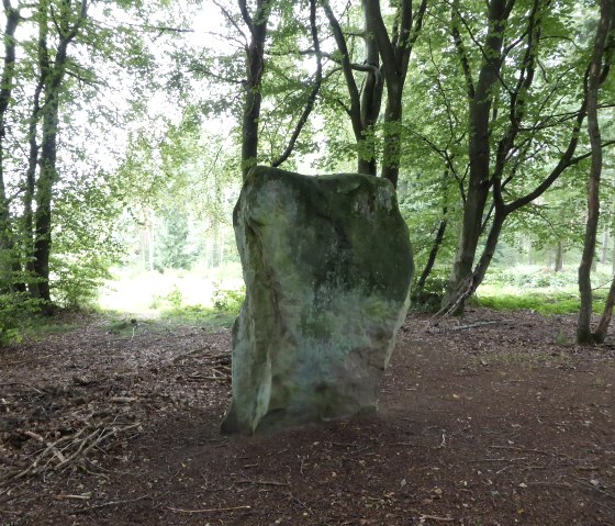 Druid stone Bollendorf from the "back", © Elke Wagner