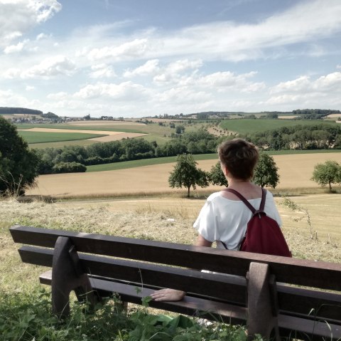 Nice View Bitburger Landgang Biersdorf am See, © TI Bitburger Land