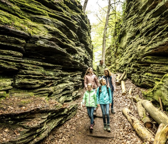 Grüne-Hölle-Tour Bollendorf, © Eifel Tourismus GmbH/Dominik Ketz.