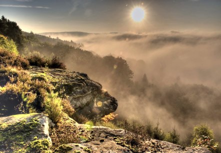 Felsenweg 2 NaturWanderPark delux, © Naturpark Südeifel/Pierre Haas