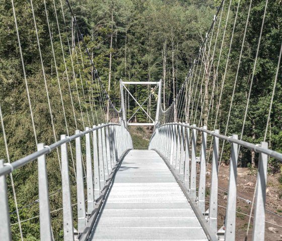 Aufbau Hängebrücke Irreler Wasserfälle, © Naturpark Südeifel/Thomas Urbany