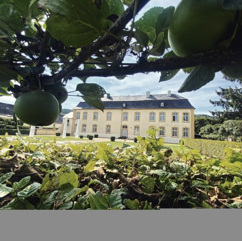 Außenansicht Schloss Niederweis, © Felsenland Südeifel Tourismus GmbH, AC Krebs