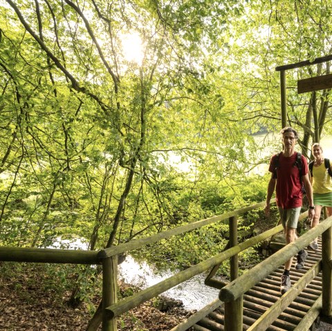 Bach-Pfad im NaturWanderPark delux, Ernst-Brücke über den Alfbach, © Eifel Tourismus GmbH, D. Ketz