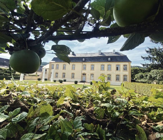 Außenansicht Schloss Niederweis, © Felsenland Südeifel Tourismus GmbH, AC Krebs