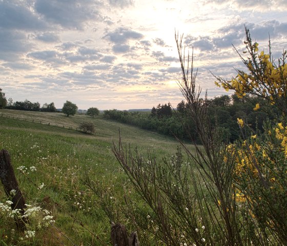 Bach-Pfad, Wiesenlandschaft, © Naturpark Südeifel, V. Teuschler