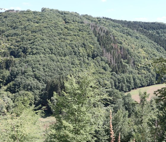 Blick über das Irsental, © Tourist-Information Islek