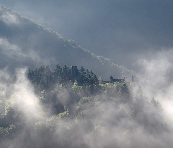 Die Burg Falkenstein auf der Nat'Our Route 4, © Naturpark Südeifel, V. Teuschler