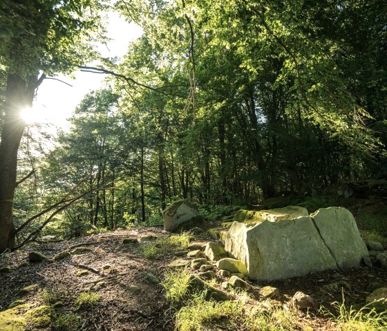 Stone box grave in the forest near Schankweiler, © Eifel Tourismus GmbH, D. Ketz