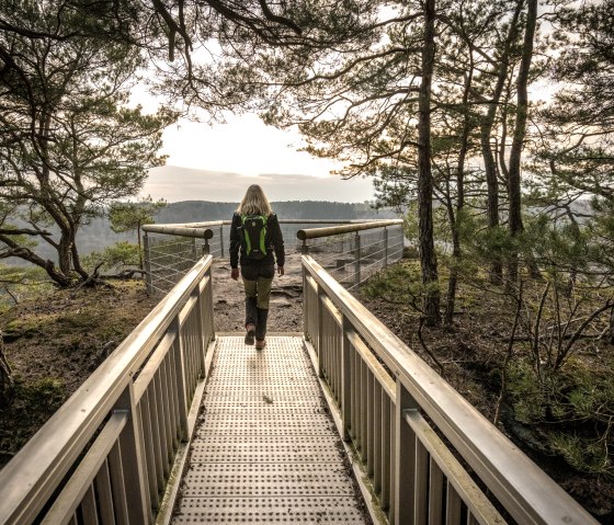 Framed by the trees at the Gaisley viewpoint, © Eifel Tourismus GmbH, D. Ketz