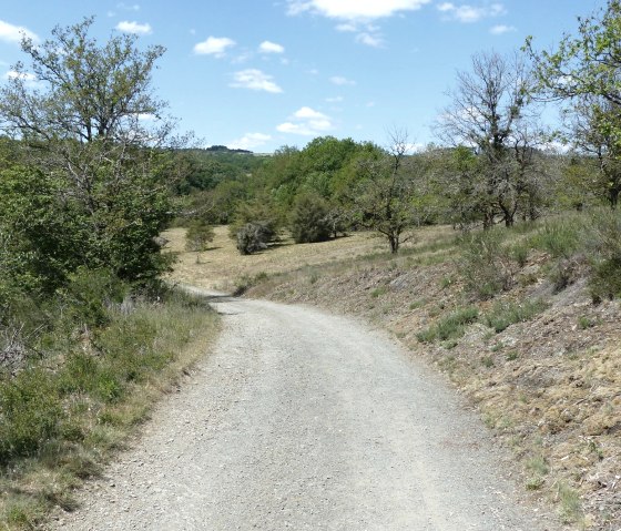 Wanderweg Nr. 15 bei Irrhausen, © Tourist-Info Islek