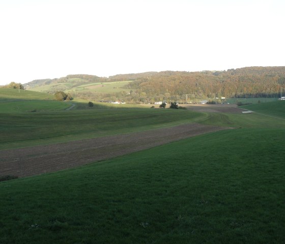 Blick in die weite Enzaue bei Mettendorf, © Felsenland Südeifel Tourismus GmbH, Christian Calonec-Rauchfuss