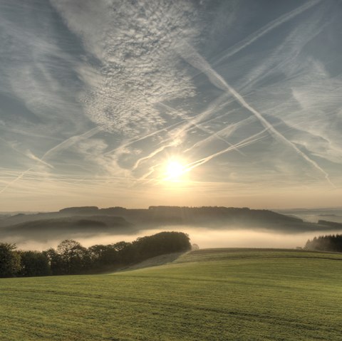 Prümtalweg, © Naturpark Südeifel, Pierre Haas