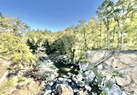 Aussicht von der Hängebrücke über den Irreler Wasserfällen, © Naturpark Südeifel/Ansgar Dondelinger