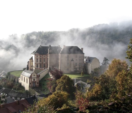 Schloss Malberg im Nebel