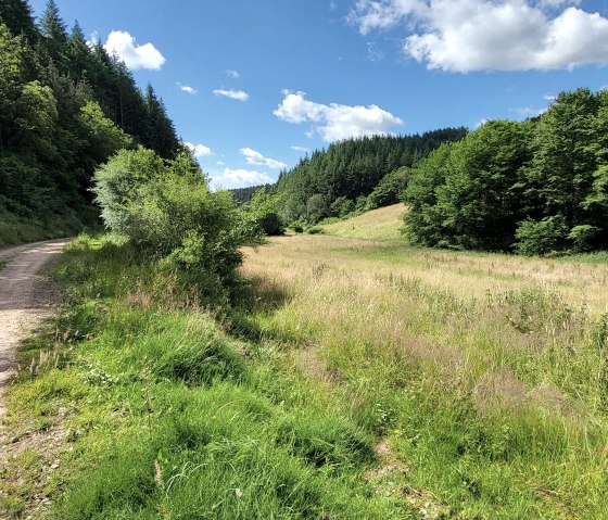 Wanderweg im Tal des Ehlenzbachs, © Tourist-Information Islek