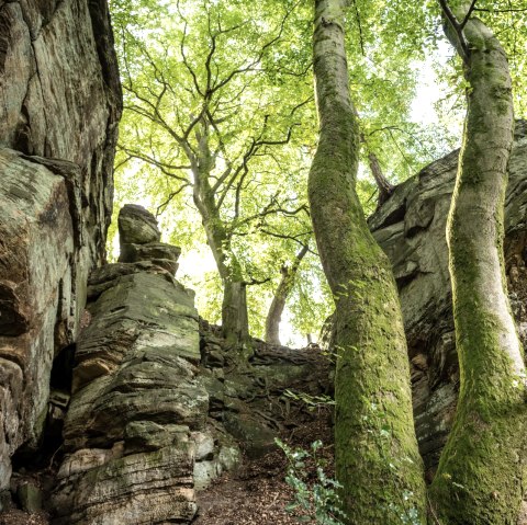 Felsen bei der Mandrack Passage im NaturWanderPark delux, © Eifel Toursimus GmbH, D. Ketz