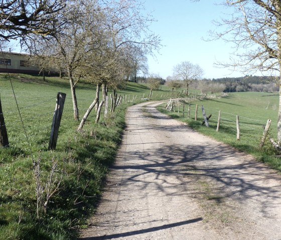 Wanderweg Nr. 18 bei Oberpierscheid, © Tourist-Information Islek