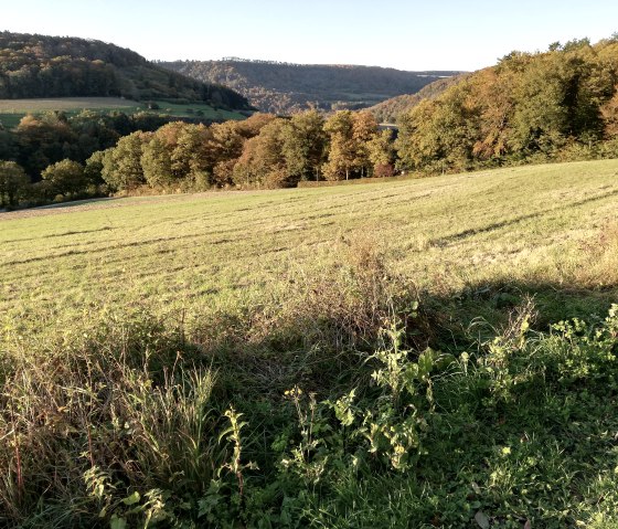 Naturpark Südeifel 70, © Reinhold Hansen