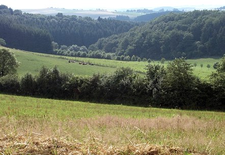 Blick auf Dahnen, © V. Teuschler