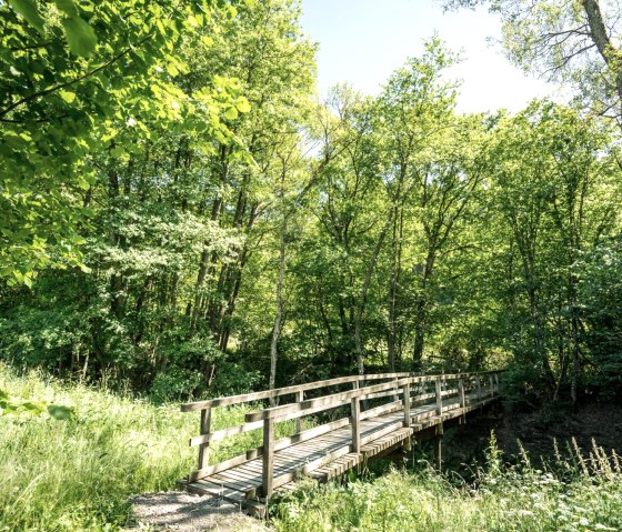 Idyllische Brücke auf der Eifelgold Route, © Eifel Tourismus GmbH, D. Ketz