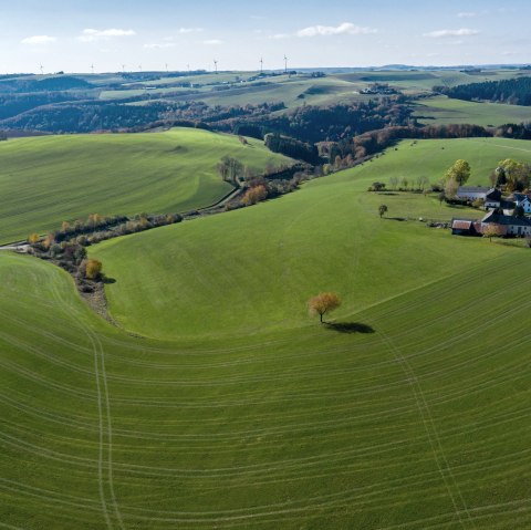 Blick auf den Komfort-Weg Ammeldingen bei Neuerburg, © Naturpark Südeifel/Philipp Köhler