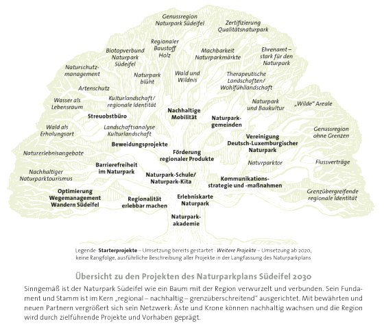 Projektbaum Naturparkplan Südeifel 2030, © Naturpark Südeifel