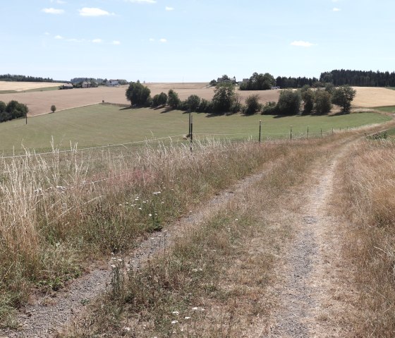 Wanderweg Nr. 90 bei Krautscheid, © Tourist-Information Islek