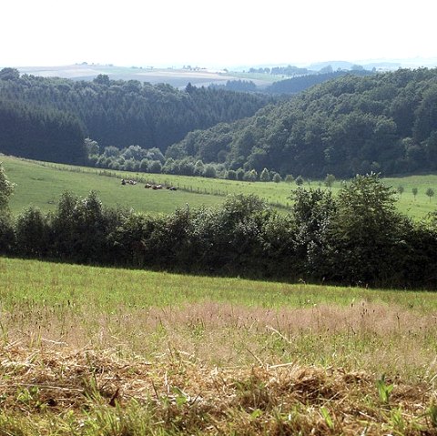 Blick auf Dahnen, © V. Teuschler