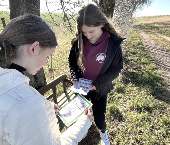 Kinder beim Wander-Bingo, © Tourist-Information Bitburger Land