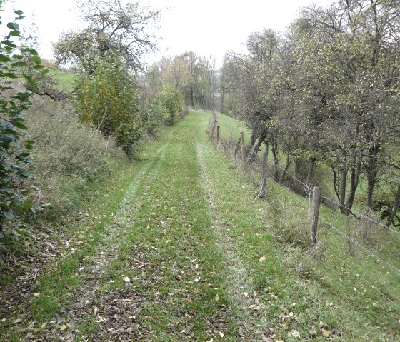 Typische Streuobstwiesen, © Felsenland Südeifel Tourismus, Christian Calonec-Rauchfuss