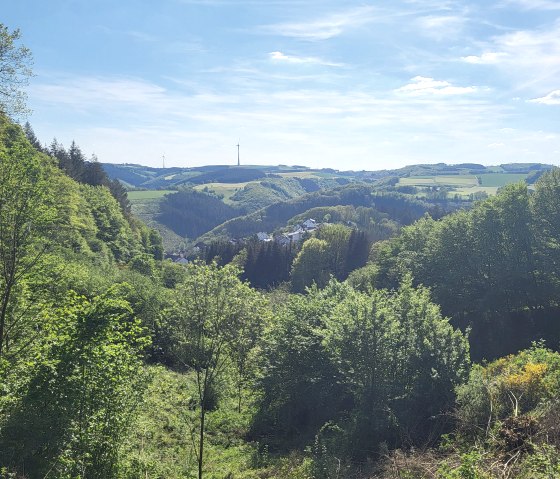 Ausblick vom Wanderweg auf Dasburg, © Tourist-Information Islek