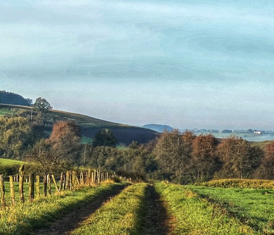 Umgebung(/ Landschaft pur