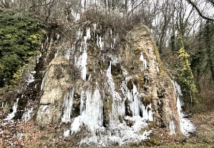 Tränenlay im Winter, © Naturpark Südeifel/Ansgar Dondelinger.