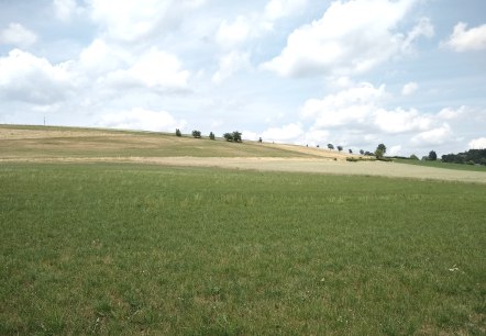 Komfort-Weg Daleiden Aussicht, © Naturpark Südeifel/Indra Schaperdoth