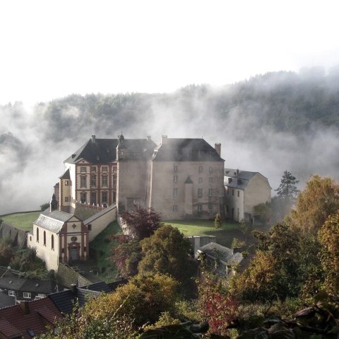 Schloss Malberg im Nebel