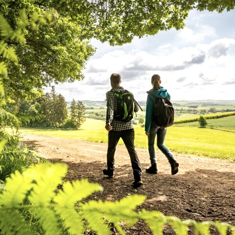 Wandern im Naturpark Südeifel, © ET/DKetz 