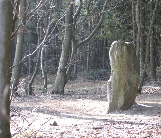 Druid stone Bollendorf from the narrow side, © Elke Wagner