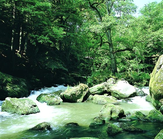 Flusslauf der Sauer