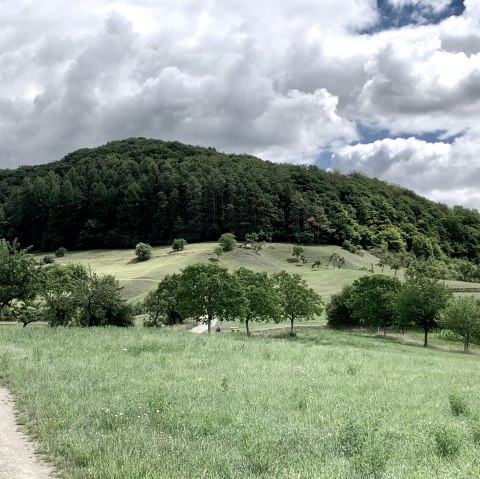 Weg Römische Villa Holsthum, © Naturpark Südeifel/Ansgar Dondelinger