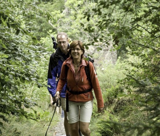 Eifelsteig-Sommer2008-162_klein