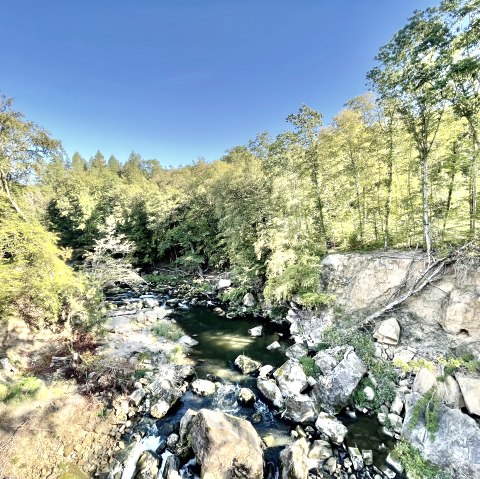 Blick von der Hängebrücke auf die Stromschnellen der Prüm, © Naturpark Südeifel, Ansgar Dondelinger