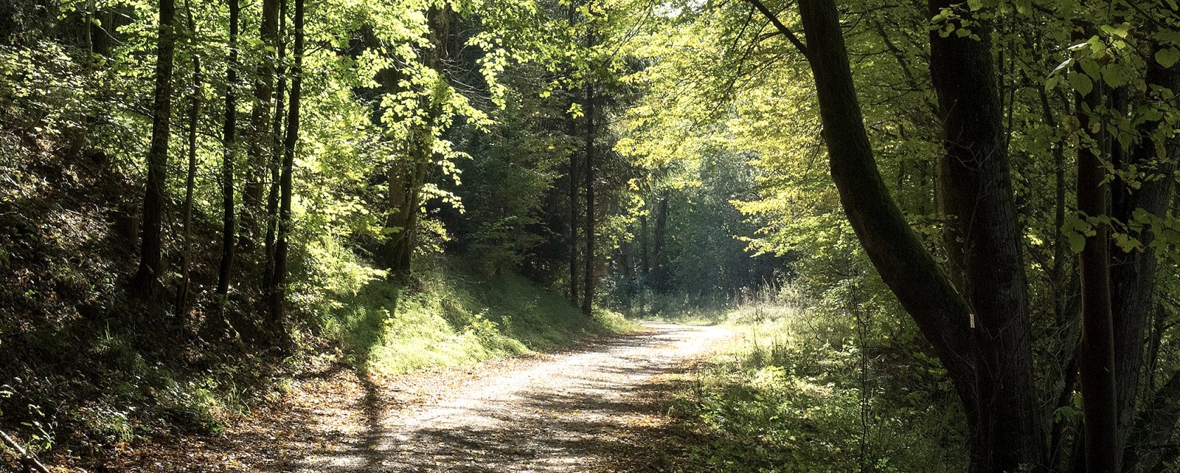 Unterwegs auf einem Wanderweg, © Volker Teuschler